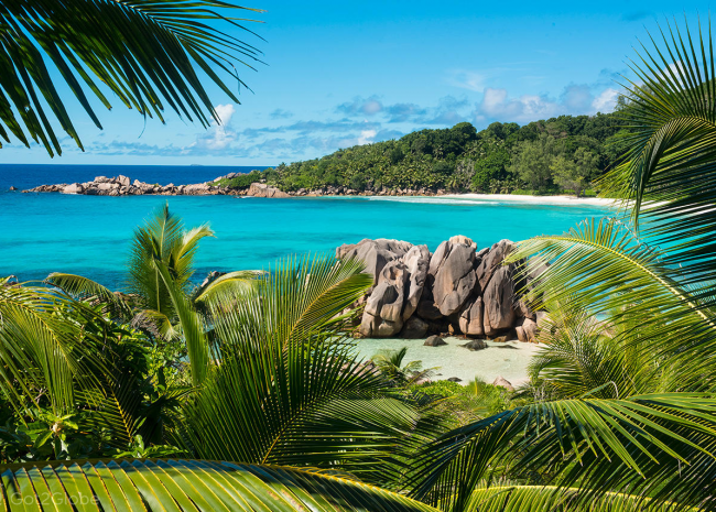 Un projet de cartographie bidimensionnelle (2D) et tridimensionnelle (3D) est en cours sur quatre sites côtiers de Mahé, l'île principale des Seychelles.