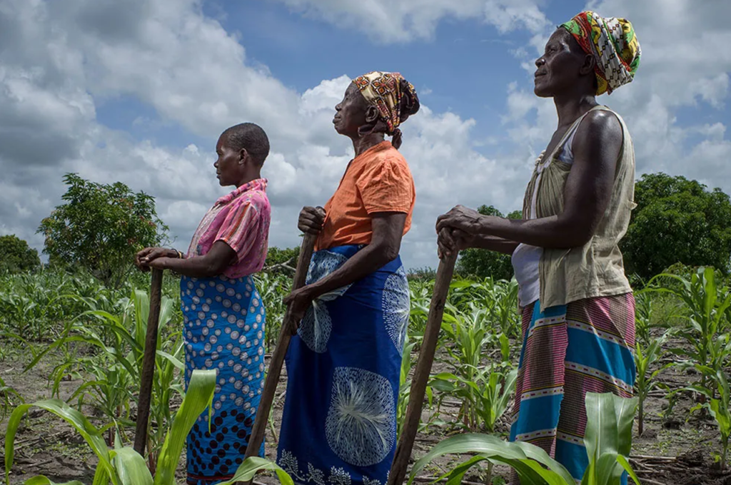 le continent africain doit supporter des charges de plus en plus lourdes liées au changement climatique et des coûts disproportionnés ...