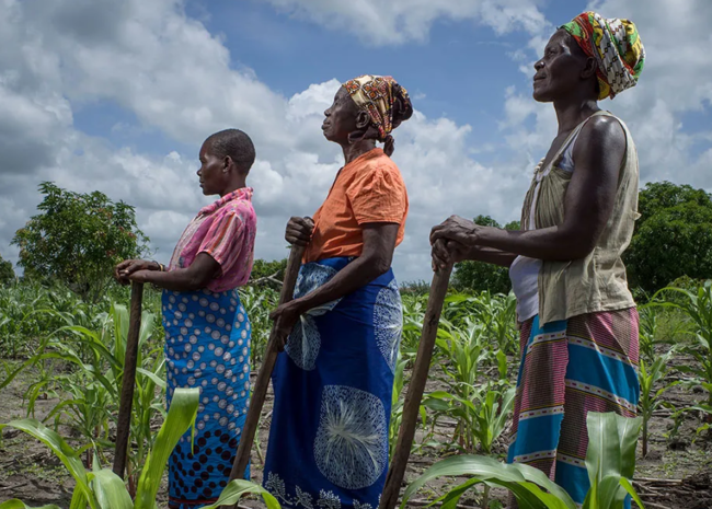 le continent africain doit supporter des charges de plus en plus lourdes liées au changement climatique et des coûts disproportionnés ...