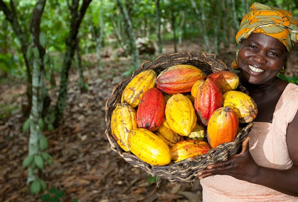 ... la Côte d'ivoire affirme pouvoir miser sur une stratégie nationale de cacao durable et d’une politique nationale pour le cacao durable