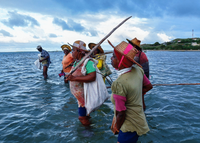 A Rodrigues, ce petit paradis insulaire de l'océan Indien, les pêcheurs se lèvent avant l'aube pour rejoindre les platiers coralliens.