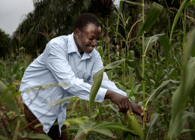 En RD Congo, le déploiement du Projet PURPA devrait permettre de remettre sur pied la production vivrière dans les zones rurales les plus vulnérables.