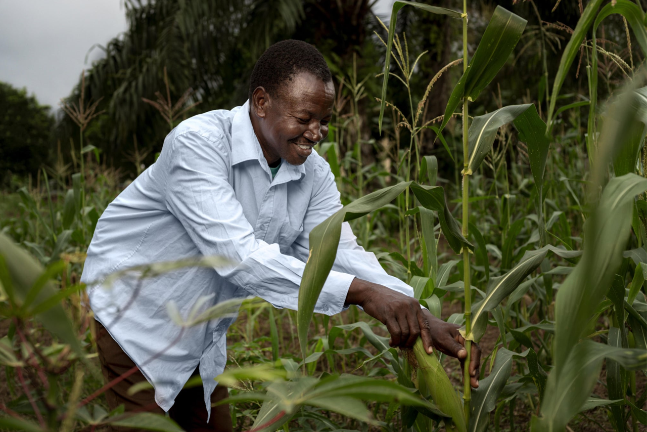 Rd Congo Semer La Résilience Et Récolter L Espoir
