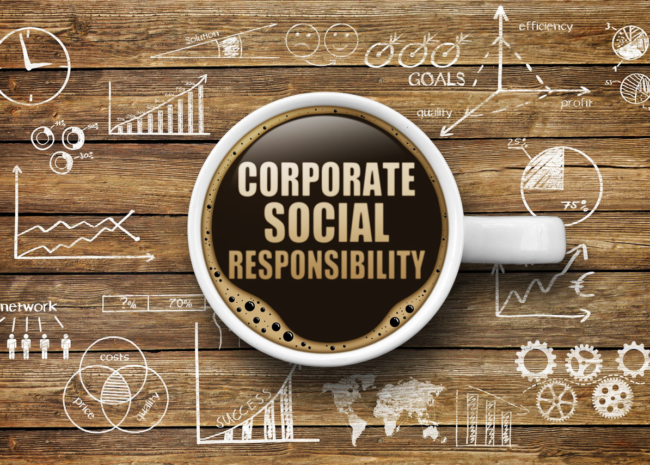 La RSE n'est qu'à ses débuts en Afrique, tant au niveau des autorités publiques que des dirigeants d’entreprise.