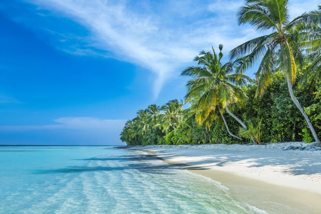 Les Îles Vanille veulent baser leur coopération touristique régionale ... tourisme solidaire, durable et intégré à l’échelle de l’océan Indien.