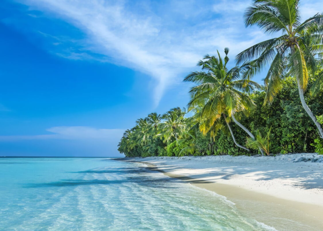 Les Îles Vanille veulent baser leur coopération touristique régionale ... tourisme solidaire, durable et intégré à l’échelle de l’océan Indien.