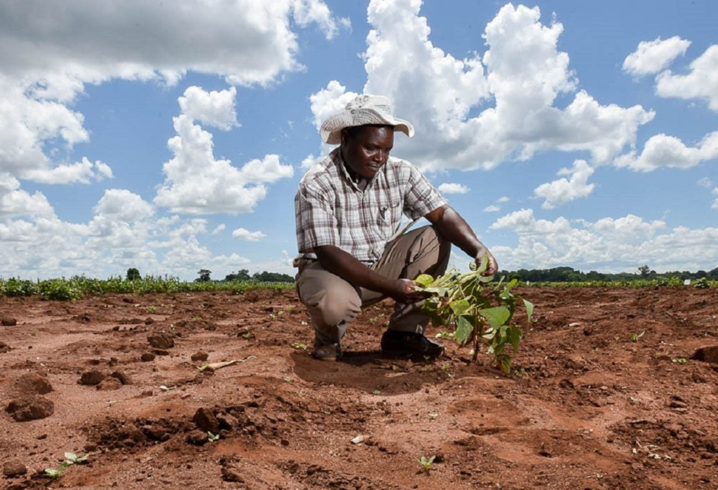 ... les scientifiques multiplient les alertes sur l’accélération du changement climatique et ses conséquences.
